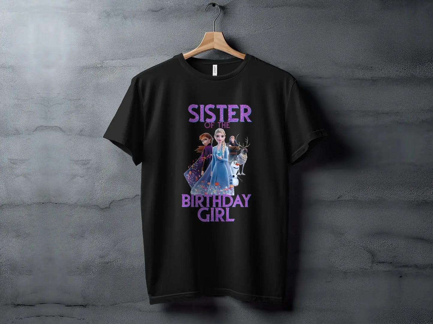 Sister Of The Birthday Girl T-Shirt: Frozen Characters Family Matching